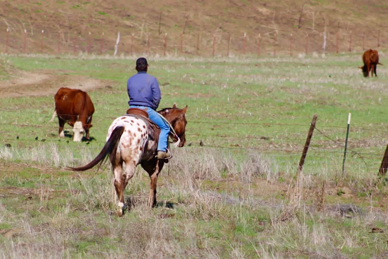 Crime Striker IM - Image 9