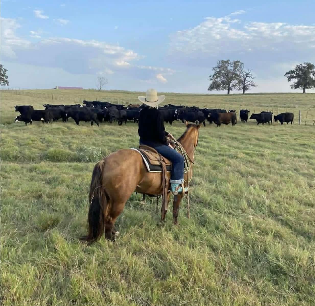 HQH Flirtation Bill - Image 6