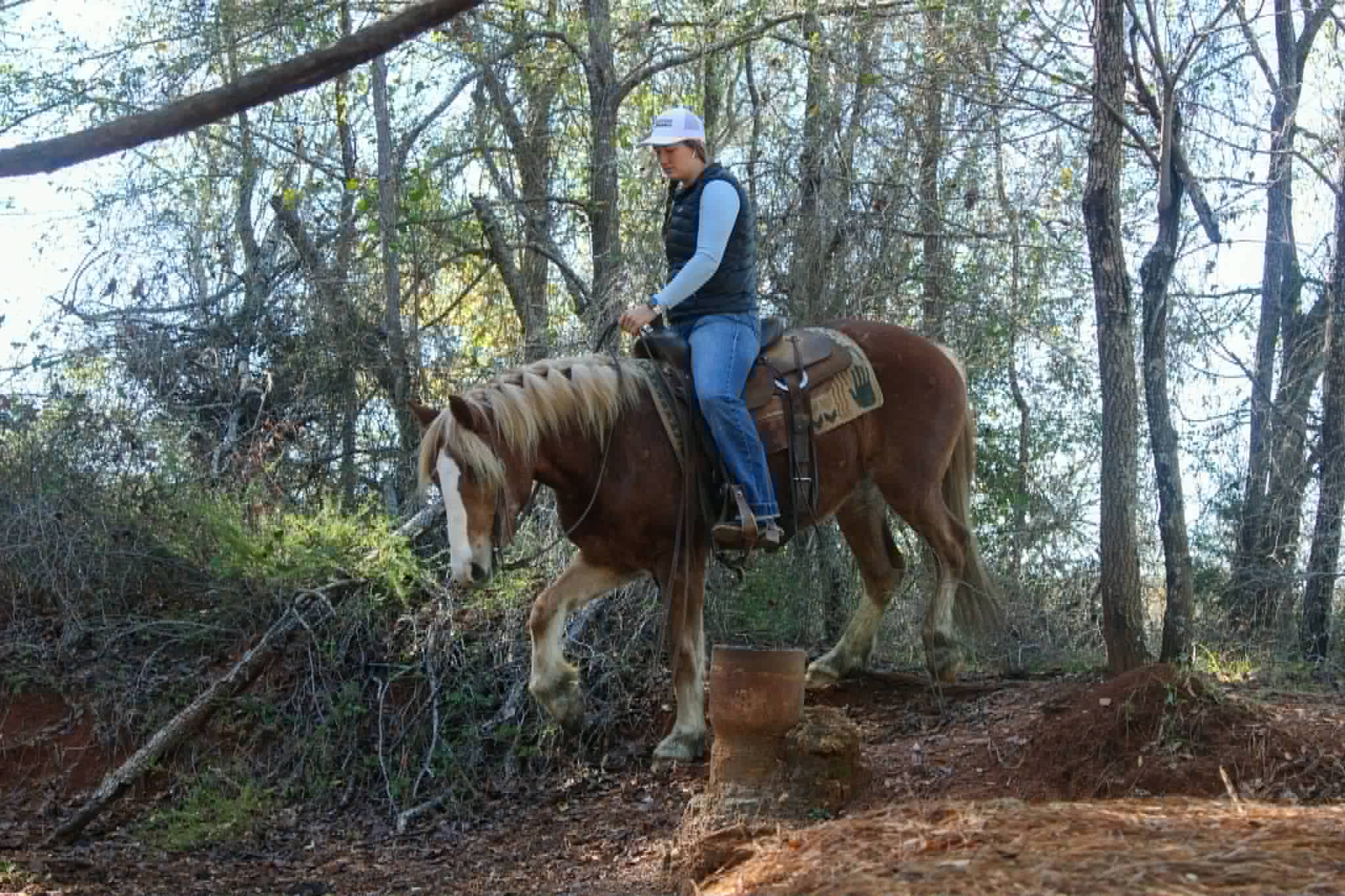 Whiskies Jack D - Image 7