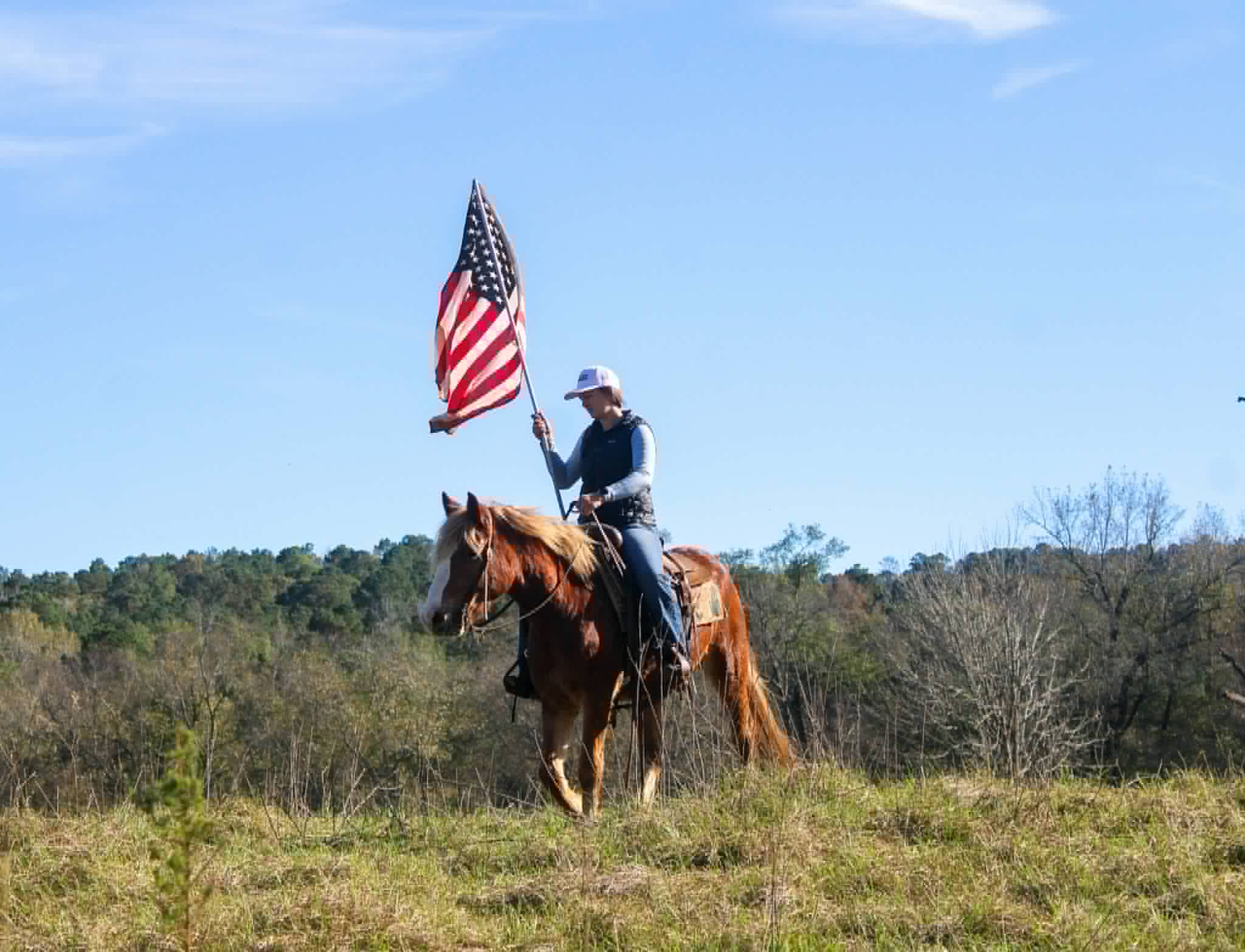 Whiskies Jack D - Image 8