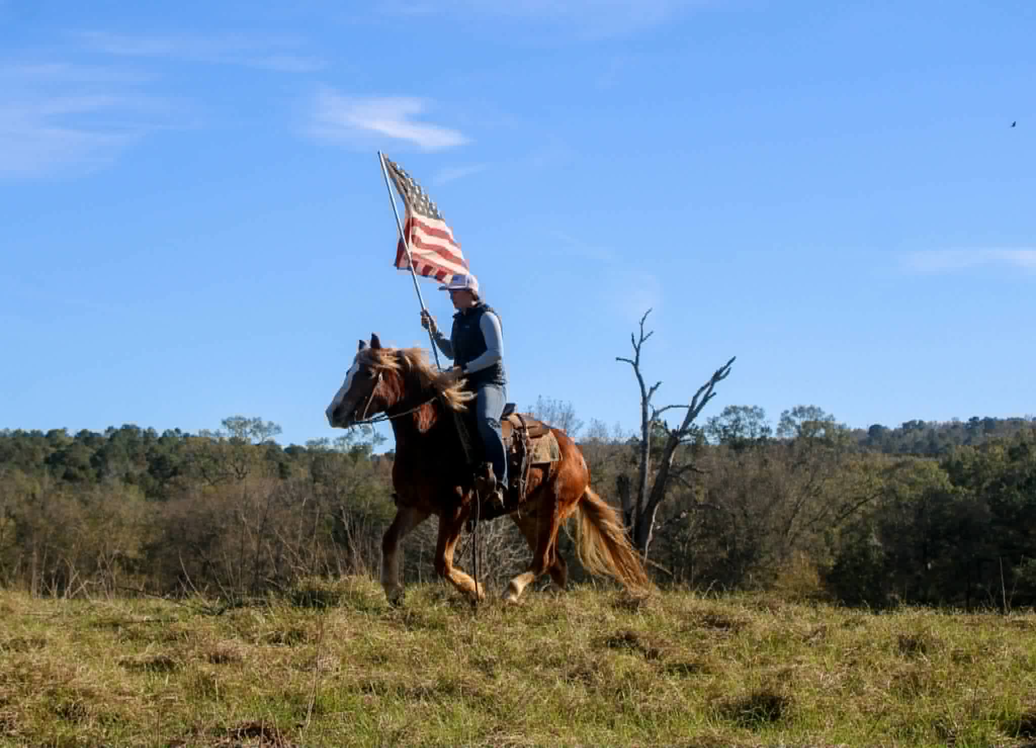 Whiskies Jack D - Image 10