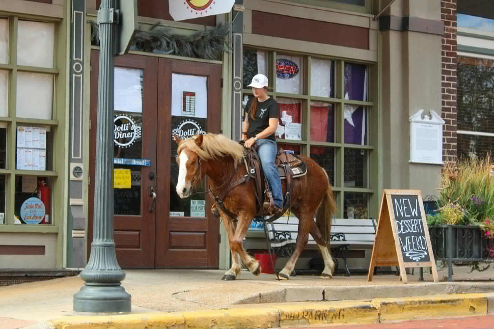 Whiskies Jack D - Image 16