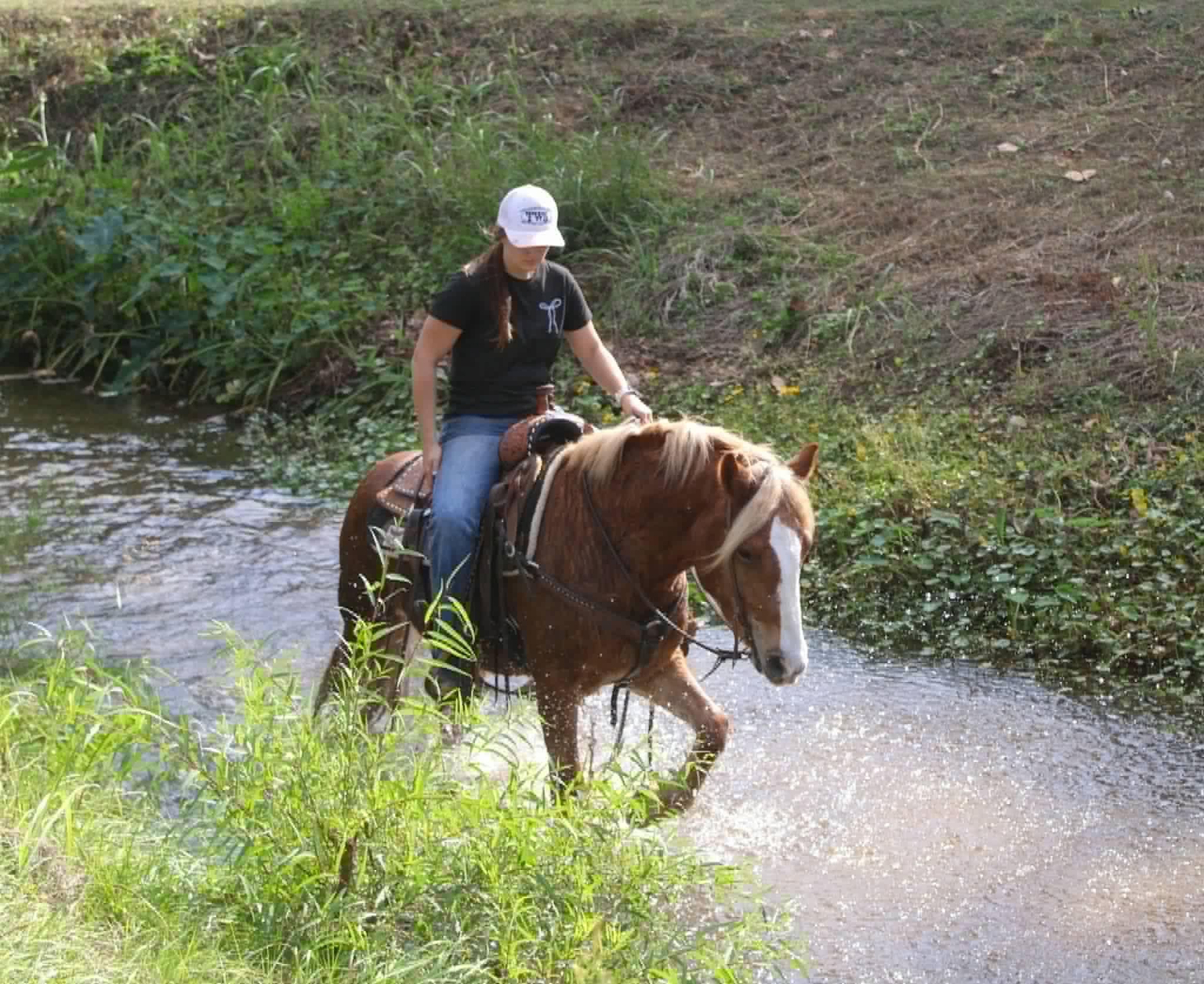 Whiskies Jack D - Image 17