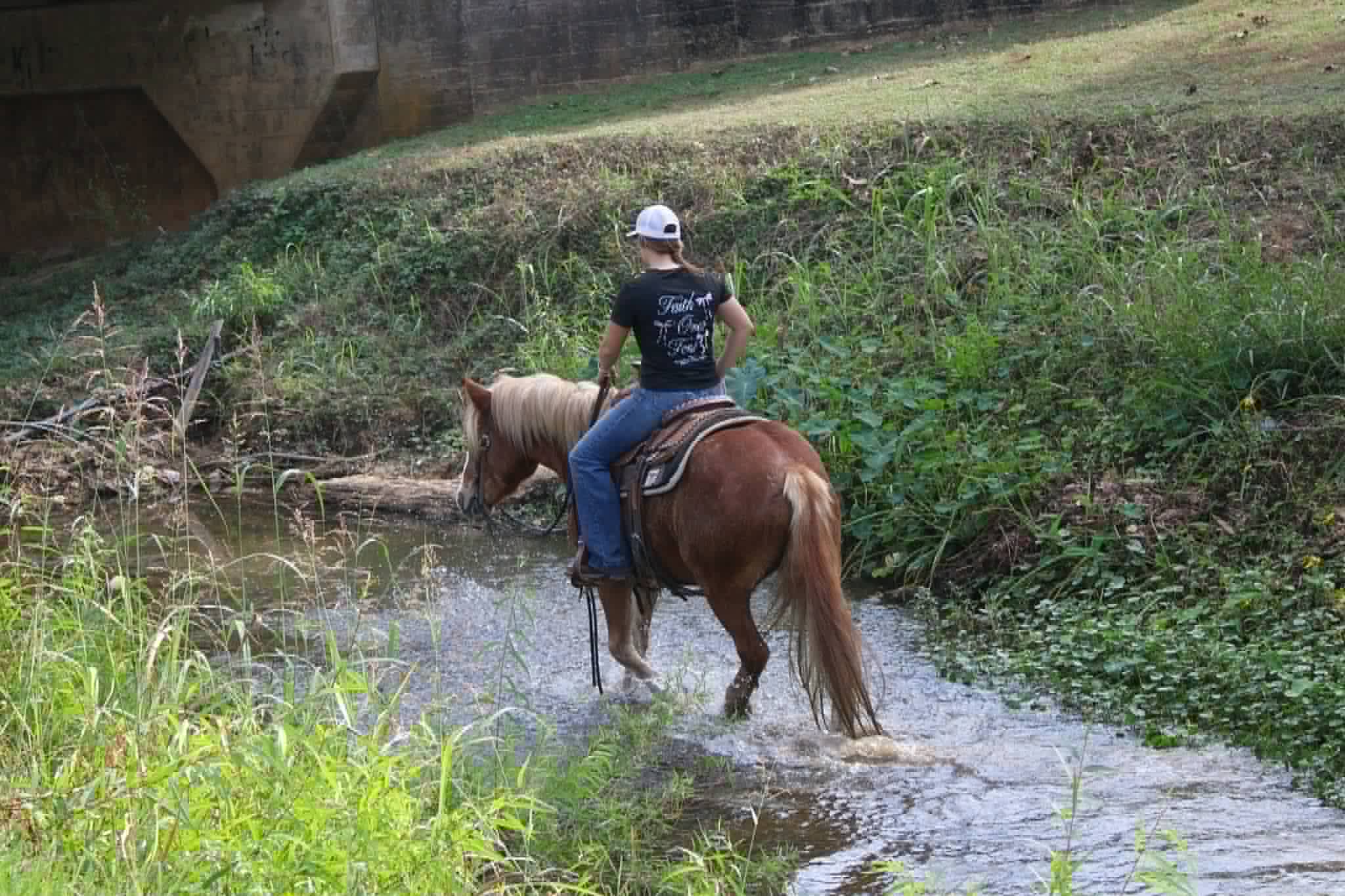 Whiskies Jack D - Image 18