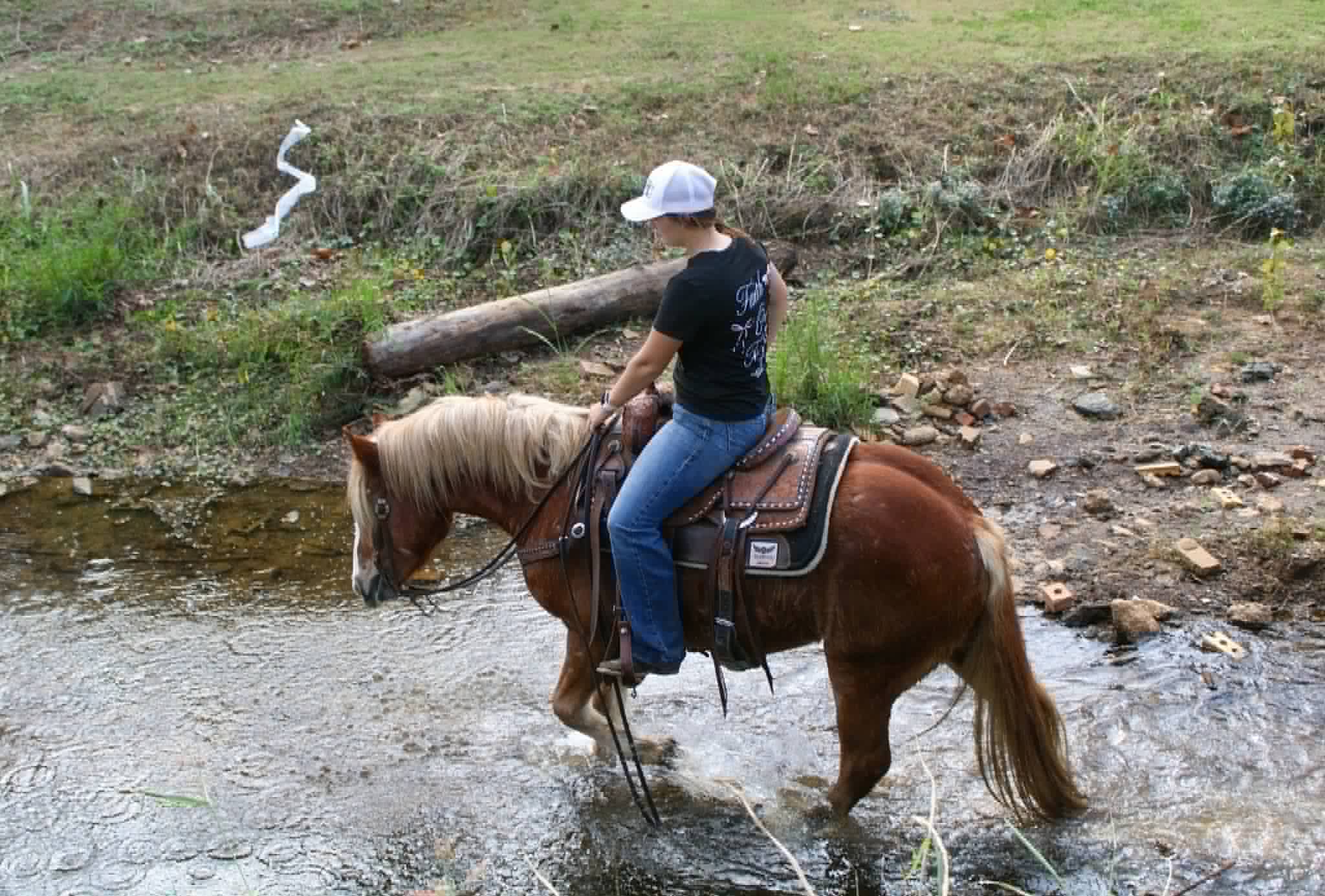 Whiskies Jack D - Image 19