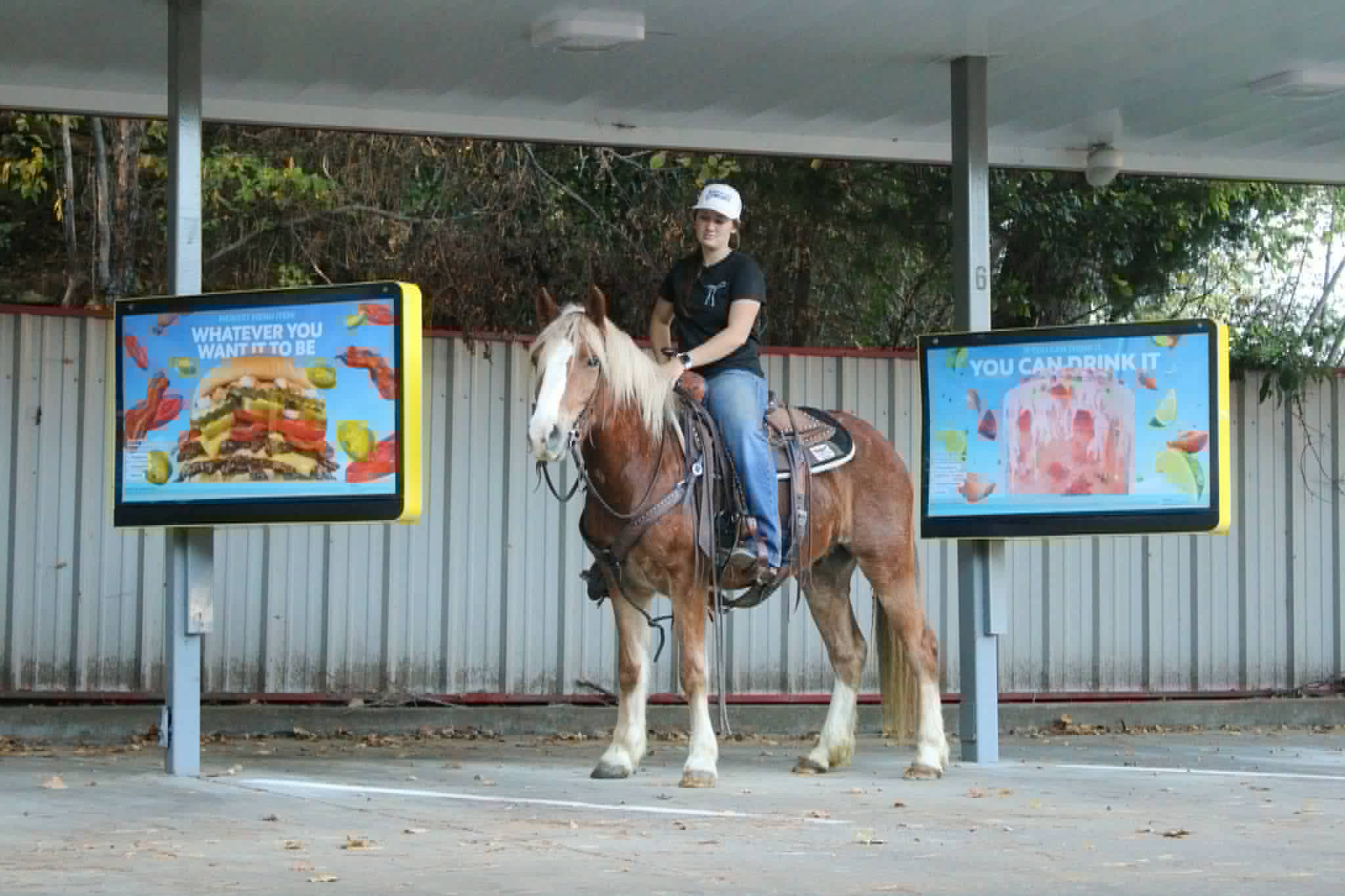 Whiskies Jack D - Image 24