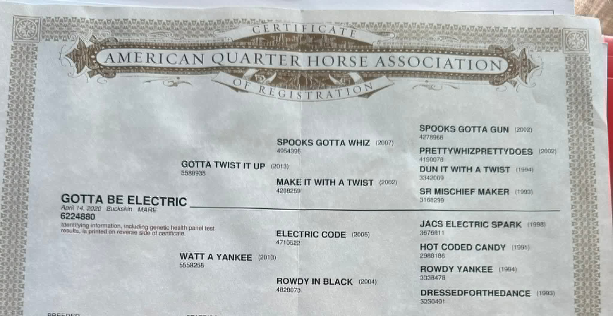 Gotta Be Electric - Image 2