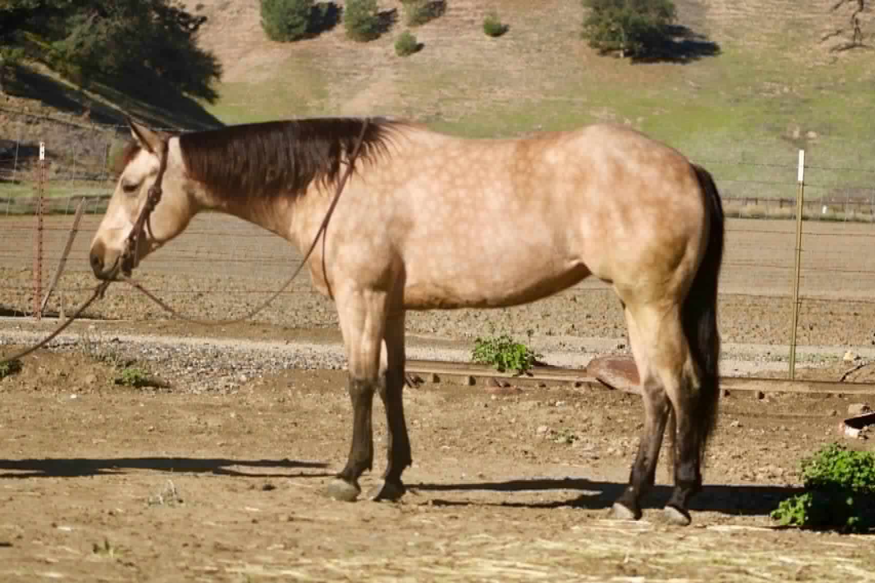 Gotta Be Electric - Image 4