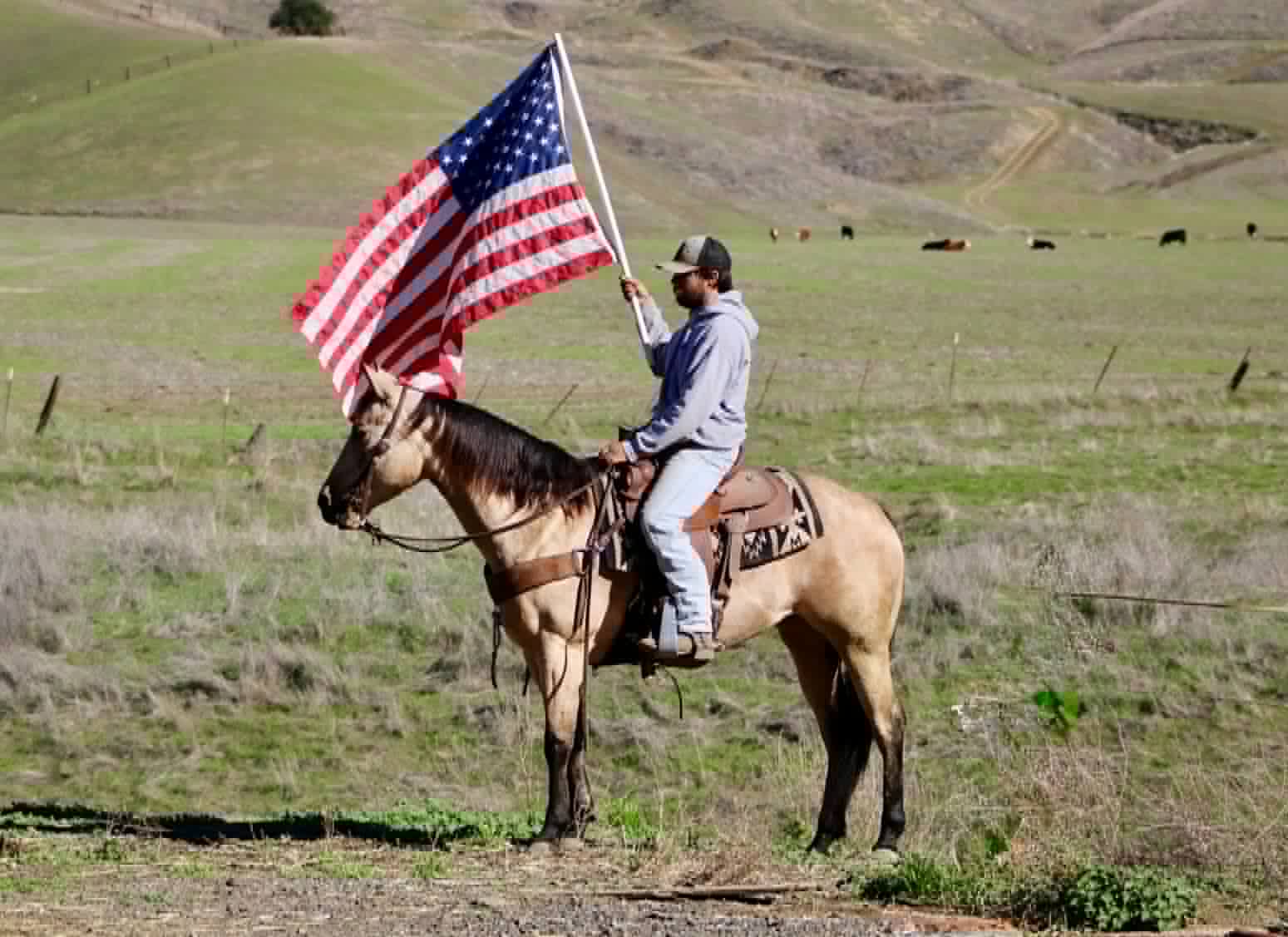 Gotta Be Electric - Image 6