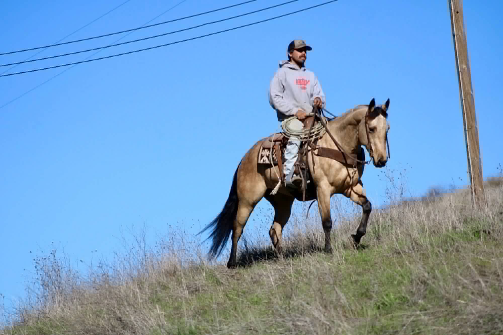 Gotta Be Electric - Image 8