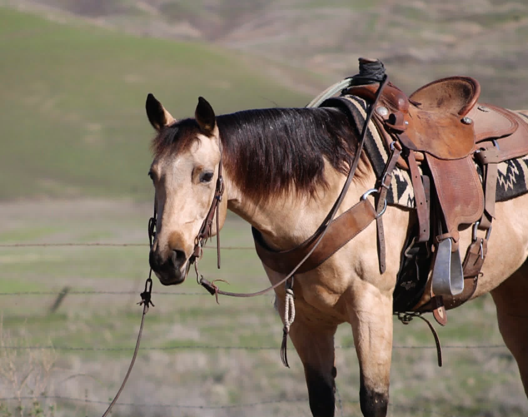 Gotta Be Electric - Image 9