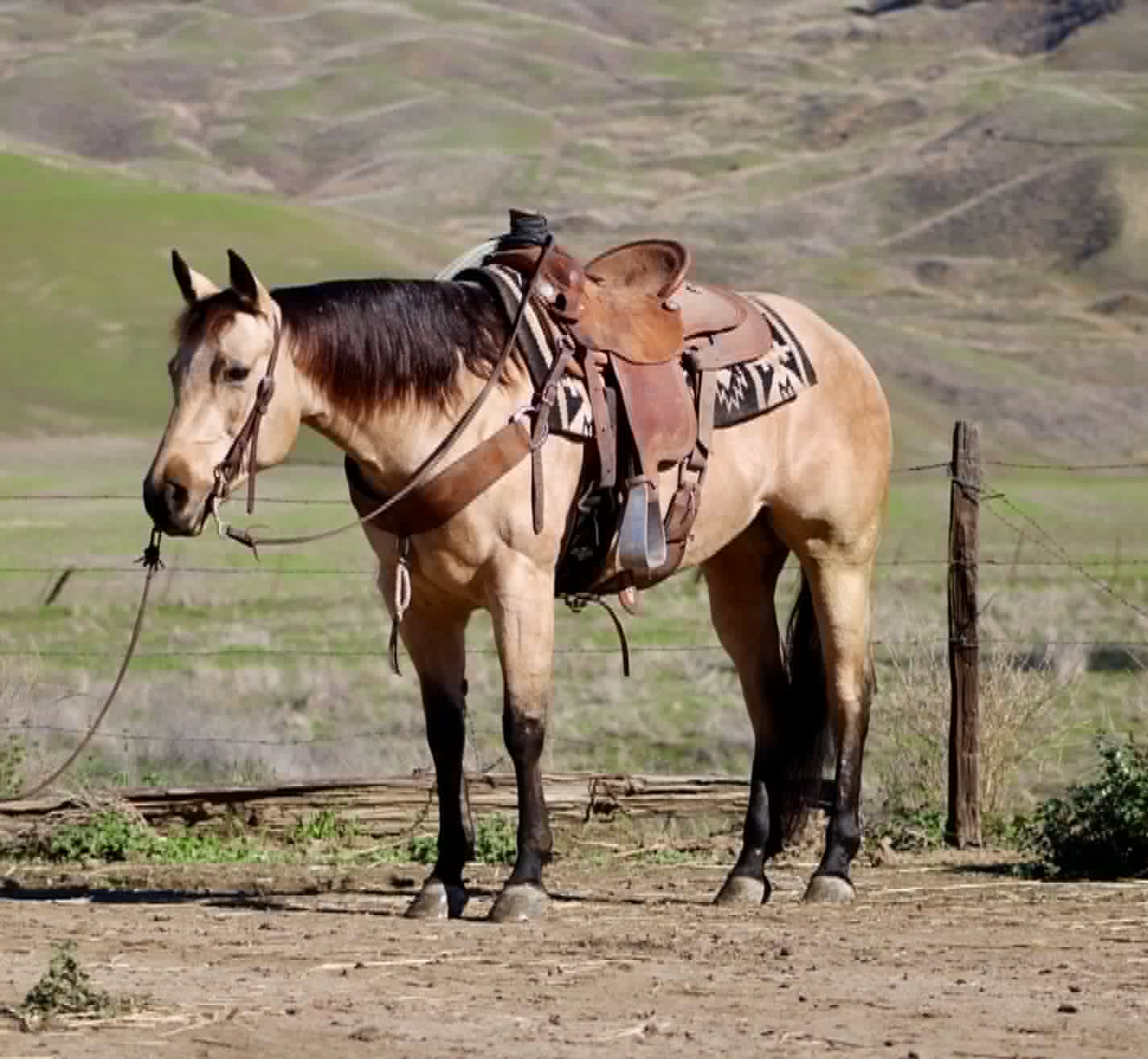 Gotta Be Electric - Image 10