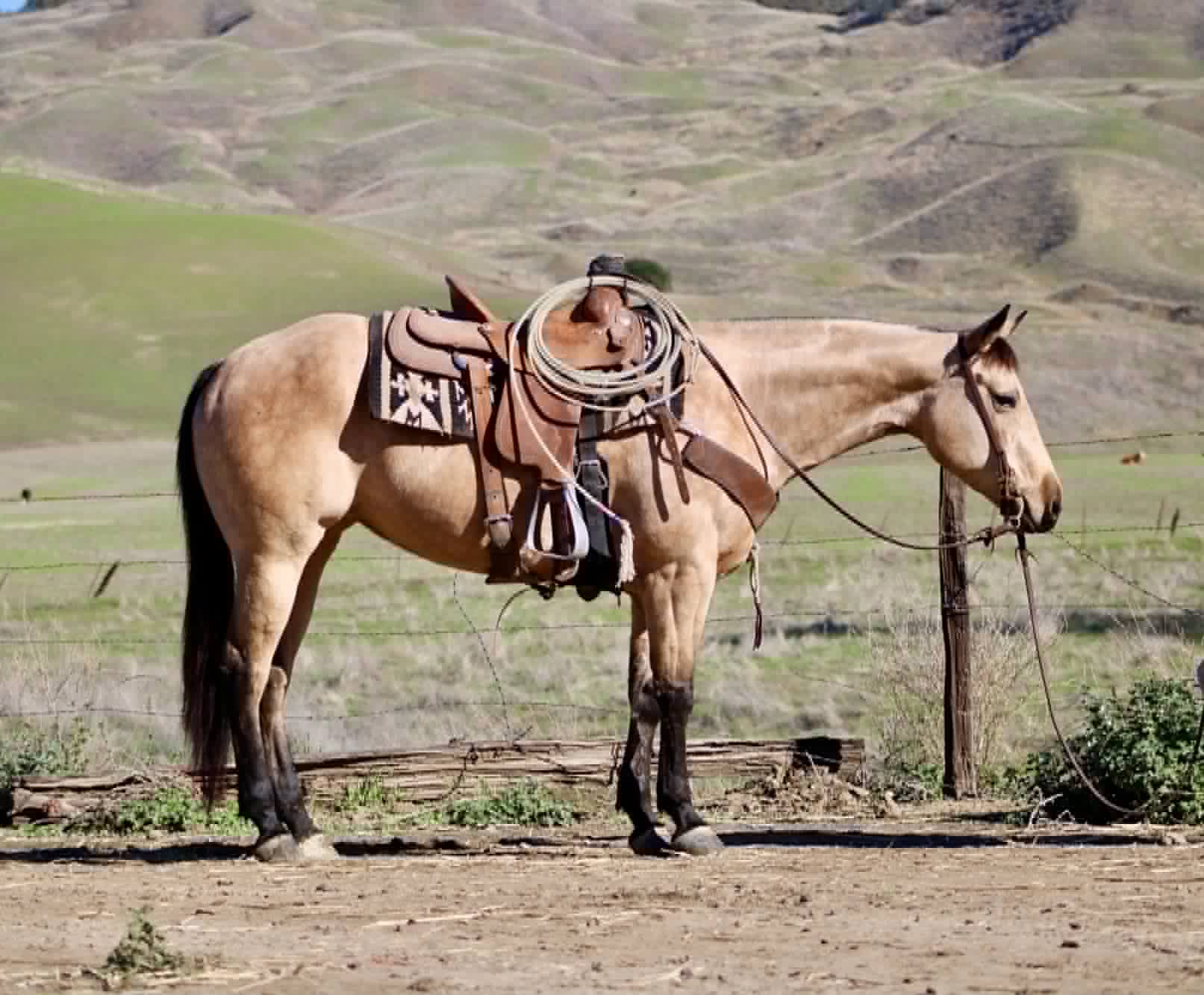 Gotta Be Electric - Image 12