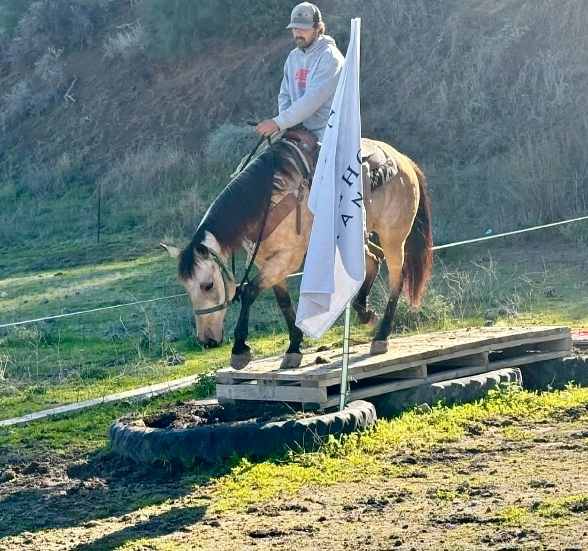 Gotta Be Electric - Image 13