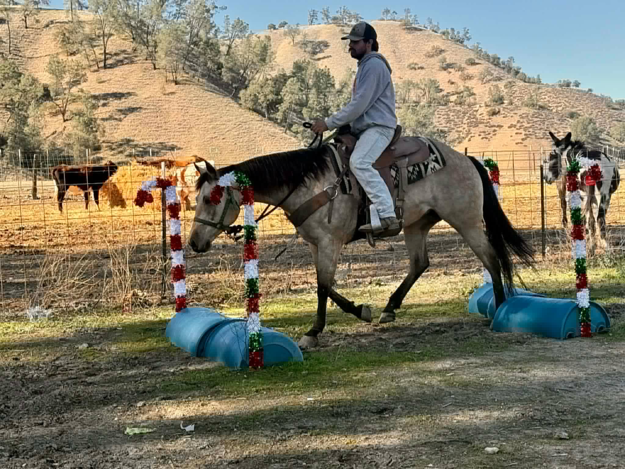 Gotta Be Electric - Image 14