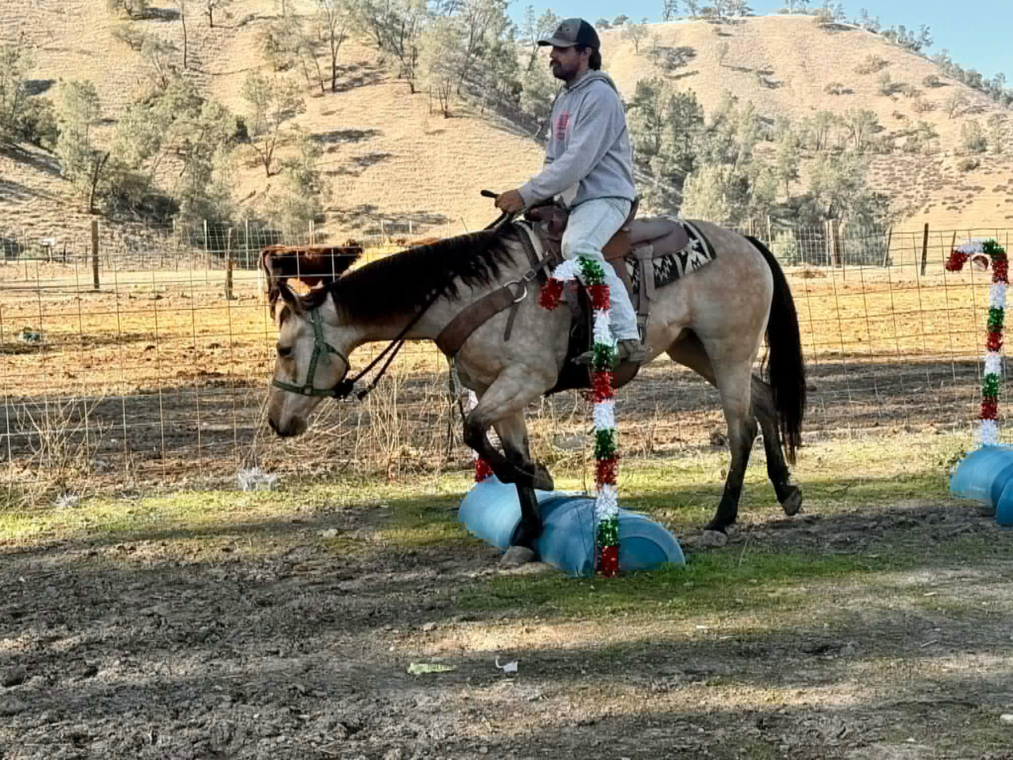 Gotta Be Electric - Image 15