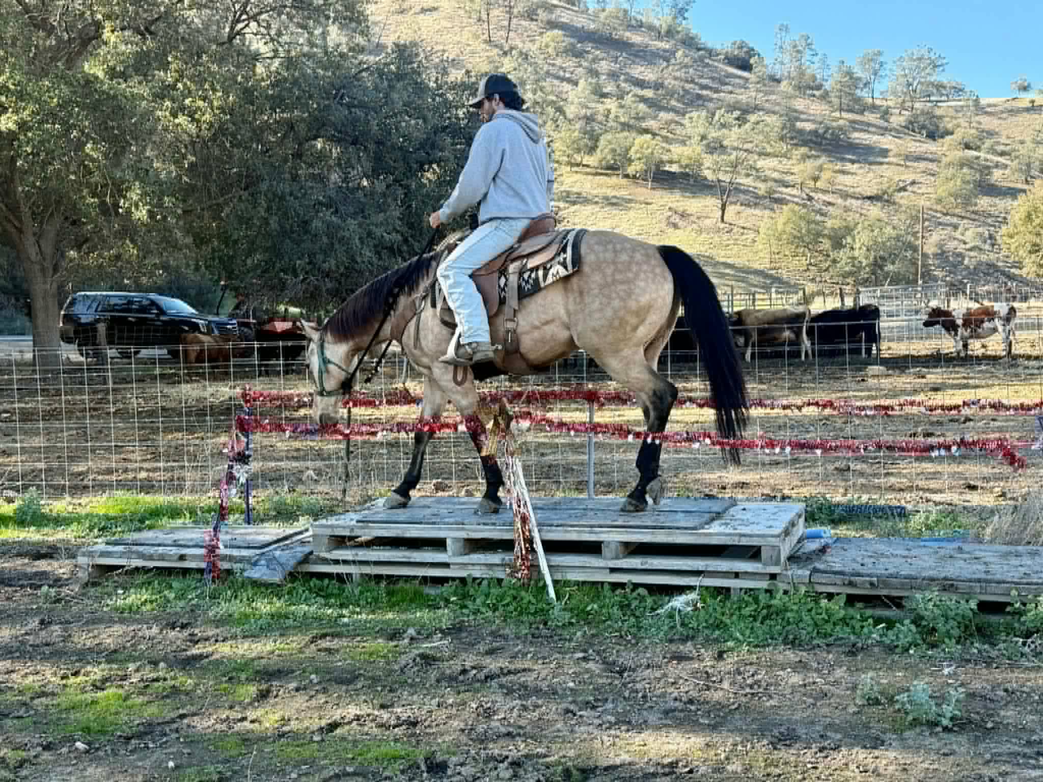 Gotta Be Electric - Image 16