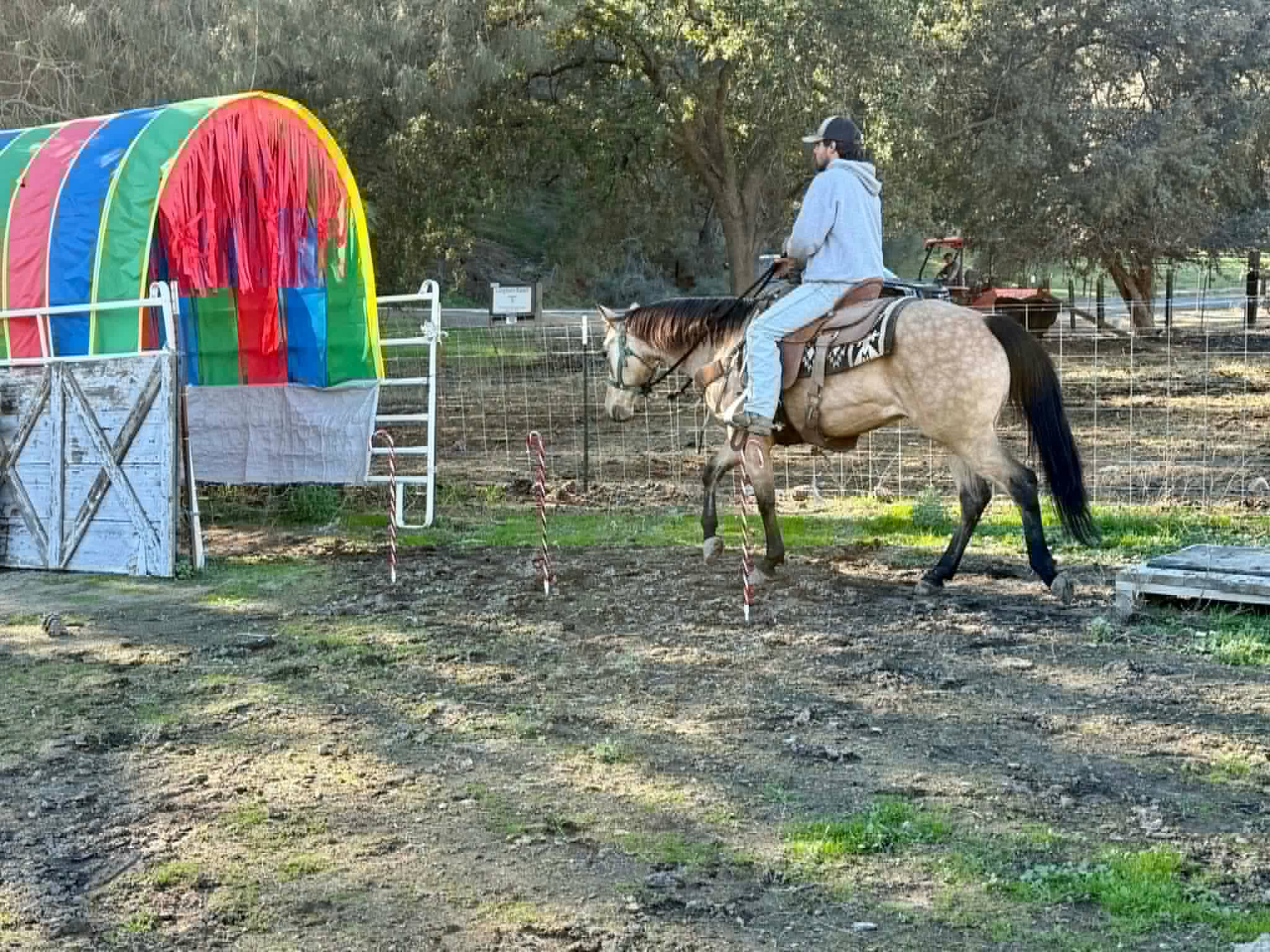 Gotta Be Electric - Image 17