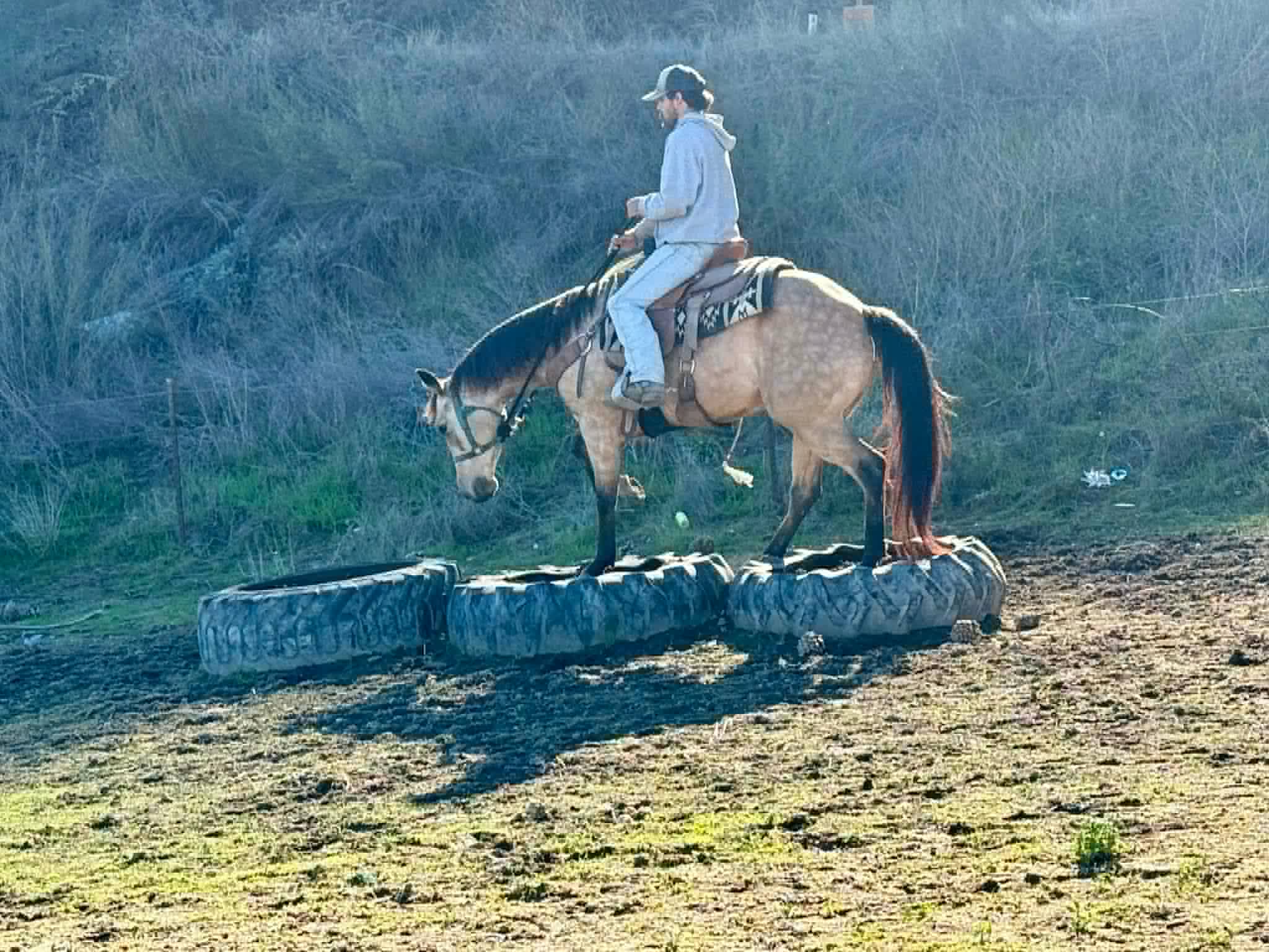 Gotta Be Electric - Image 18