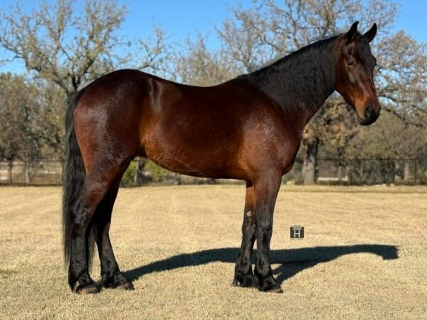 Remington