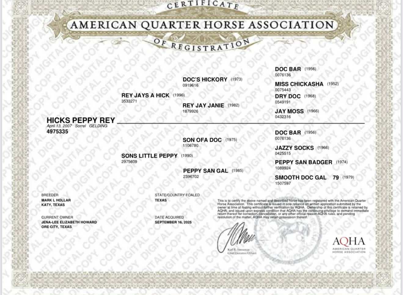 Hicks Peppy Rey - Image 4