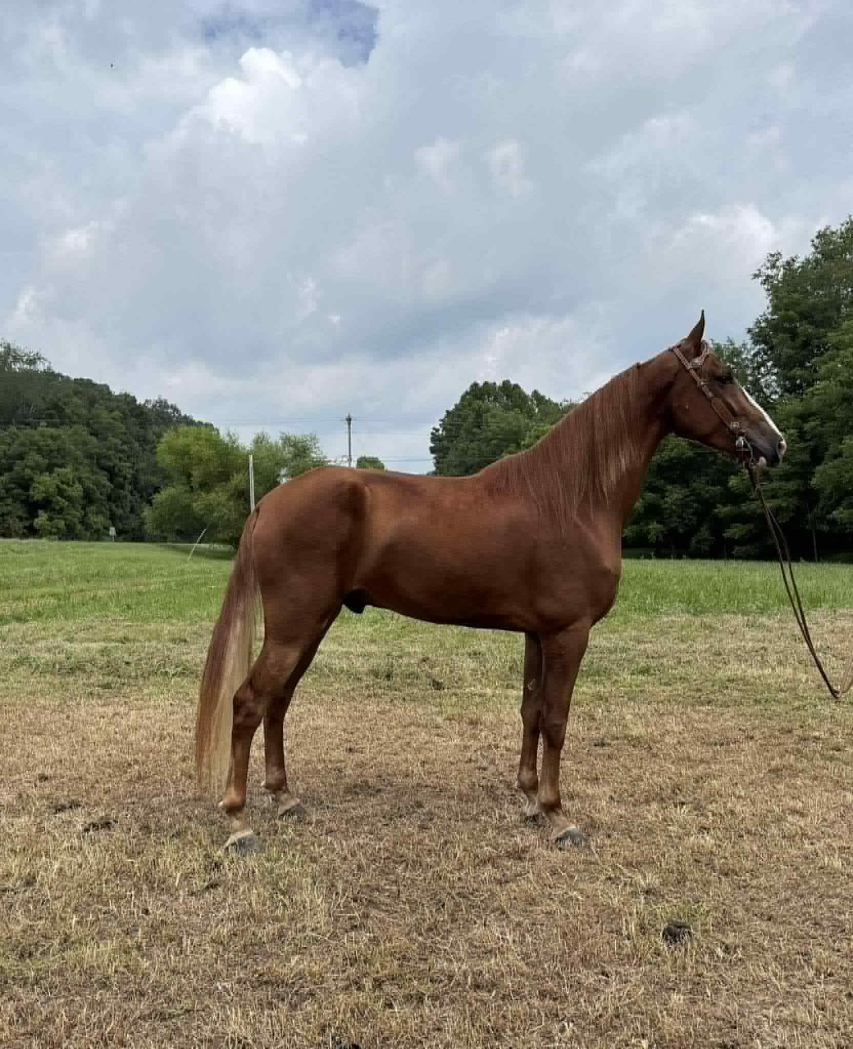 Charlie Bit Me - Image 3