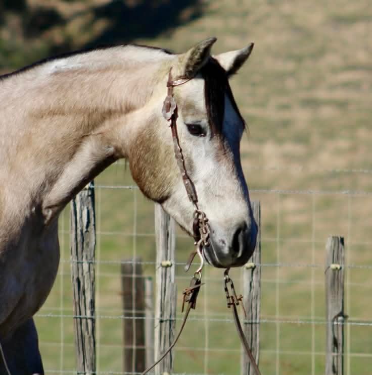 ROGERBEPLUM - Image 3