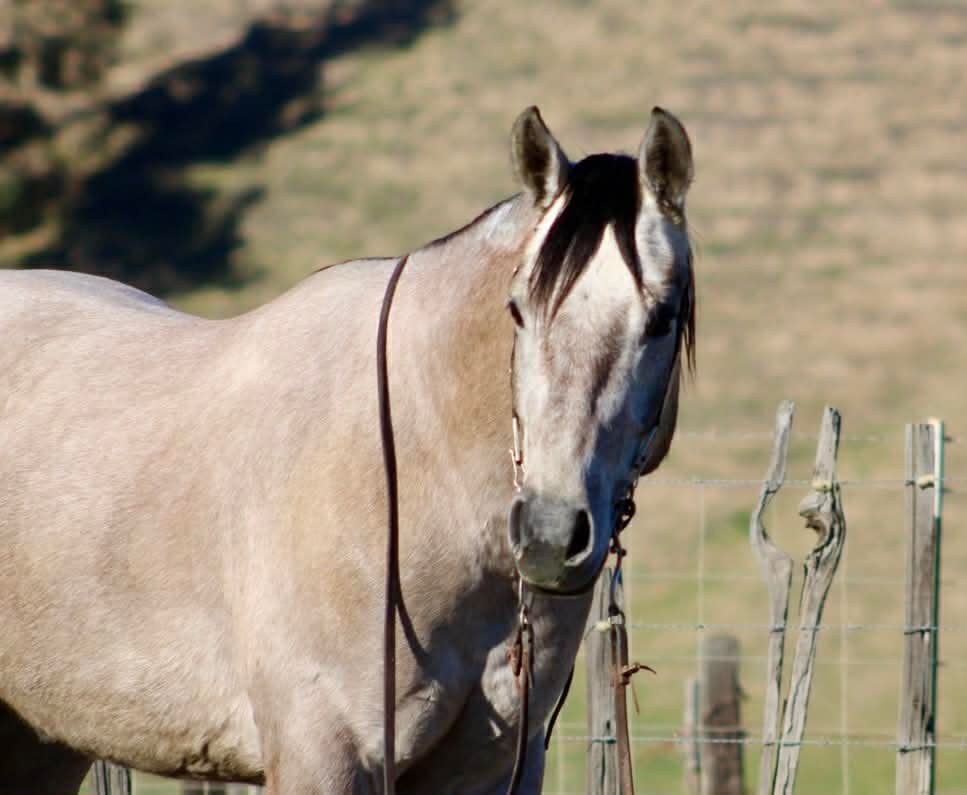 ROGERBEPLUM - Image 4