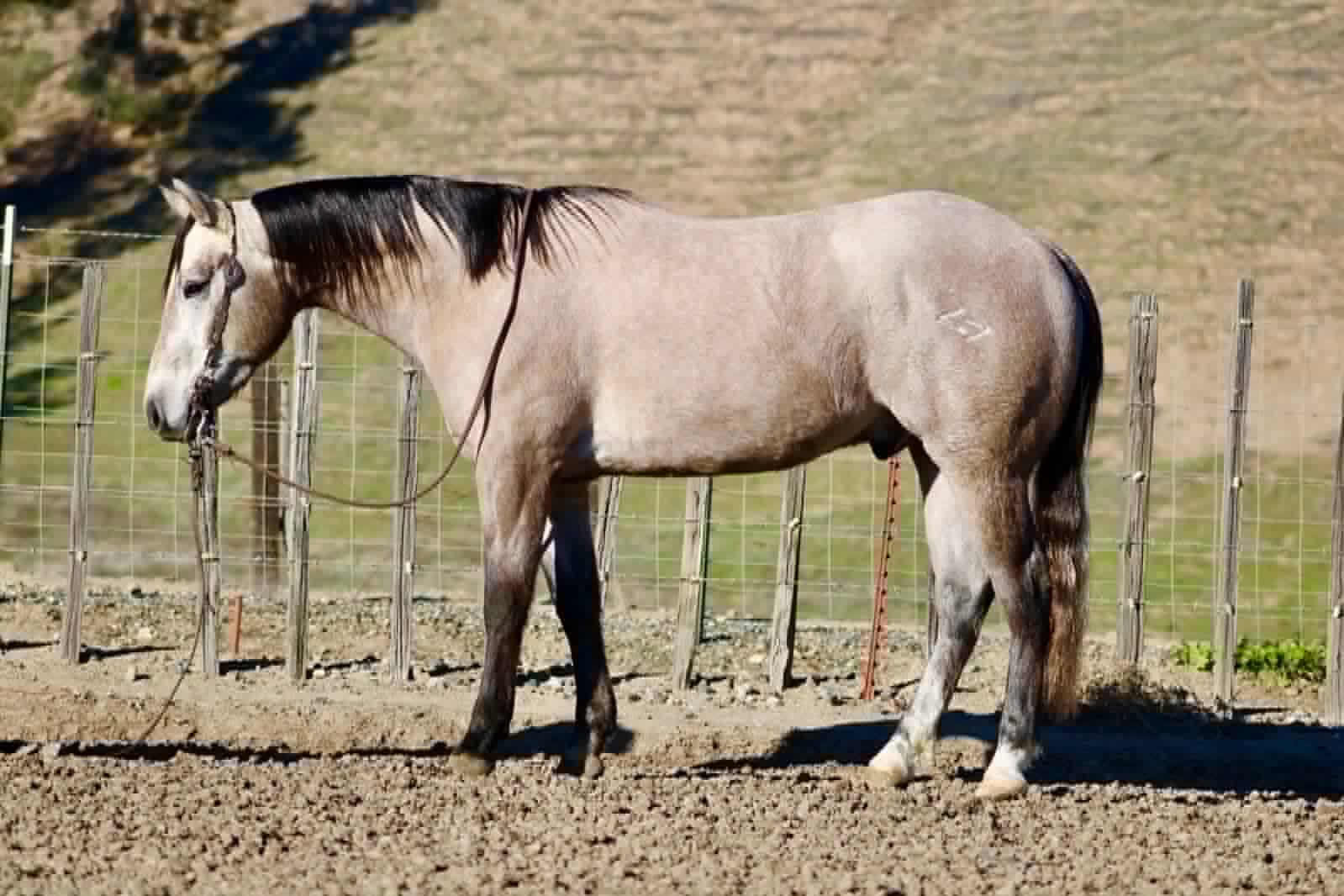 ROGERBEPLUM - Image 6