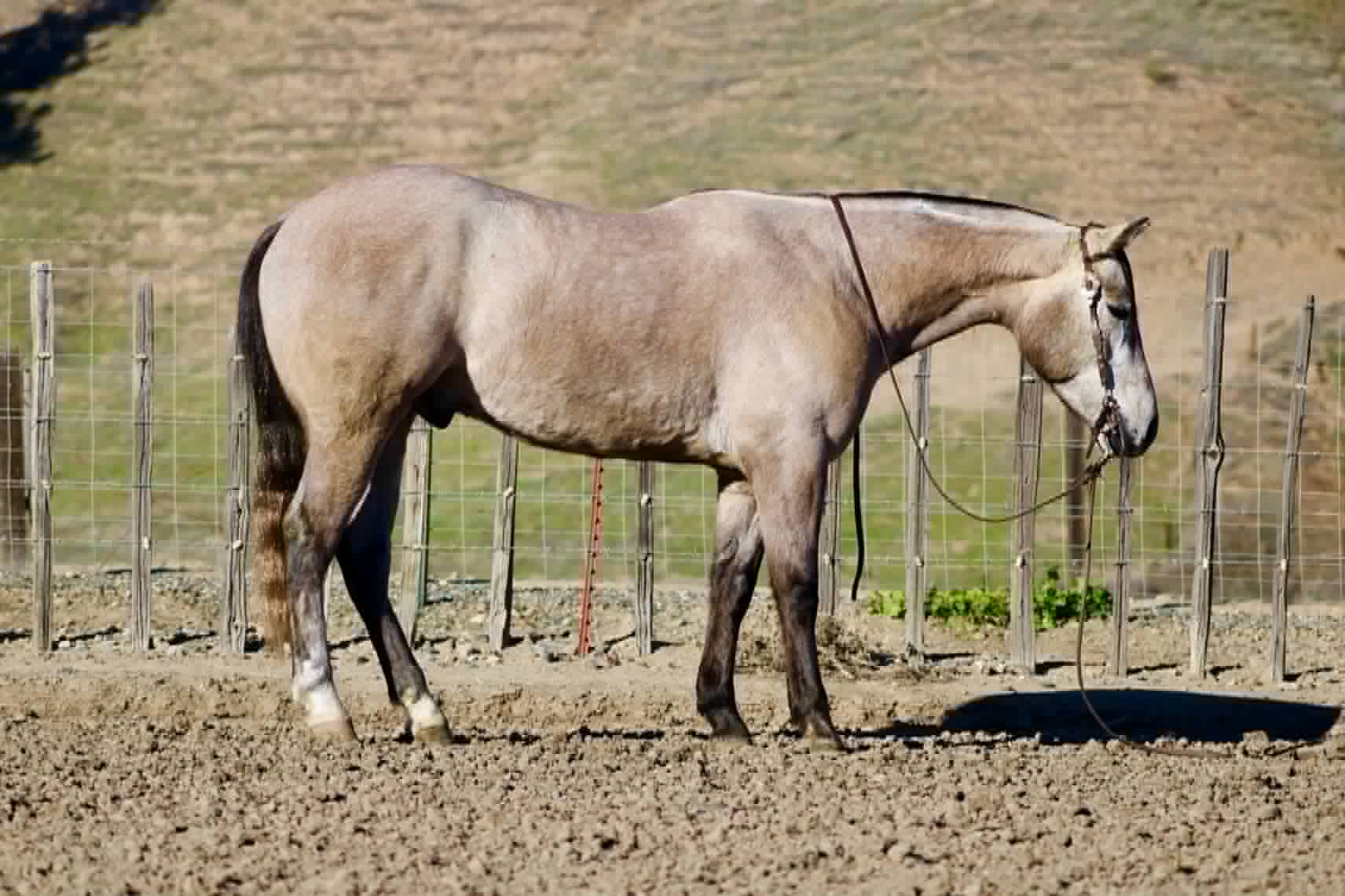 ROGERBEPLUM - Image 7