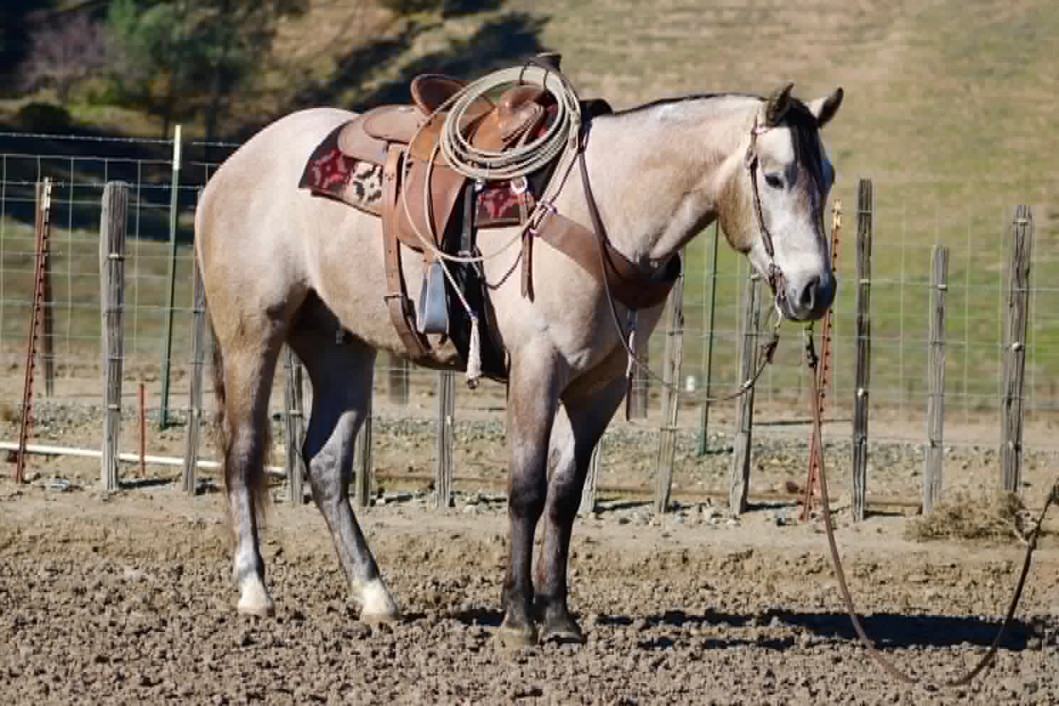 ROGERBEPLUM - Image 8