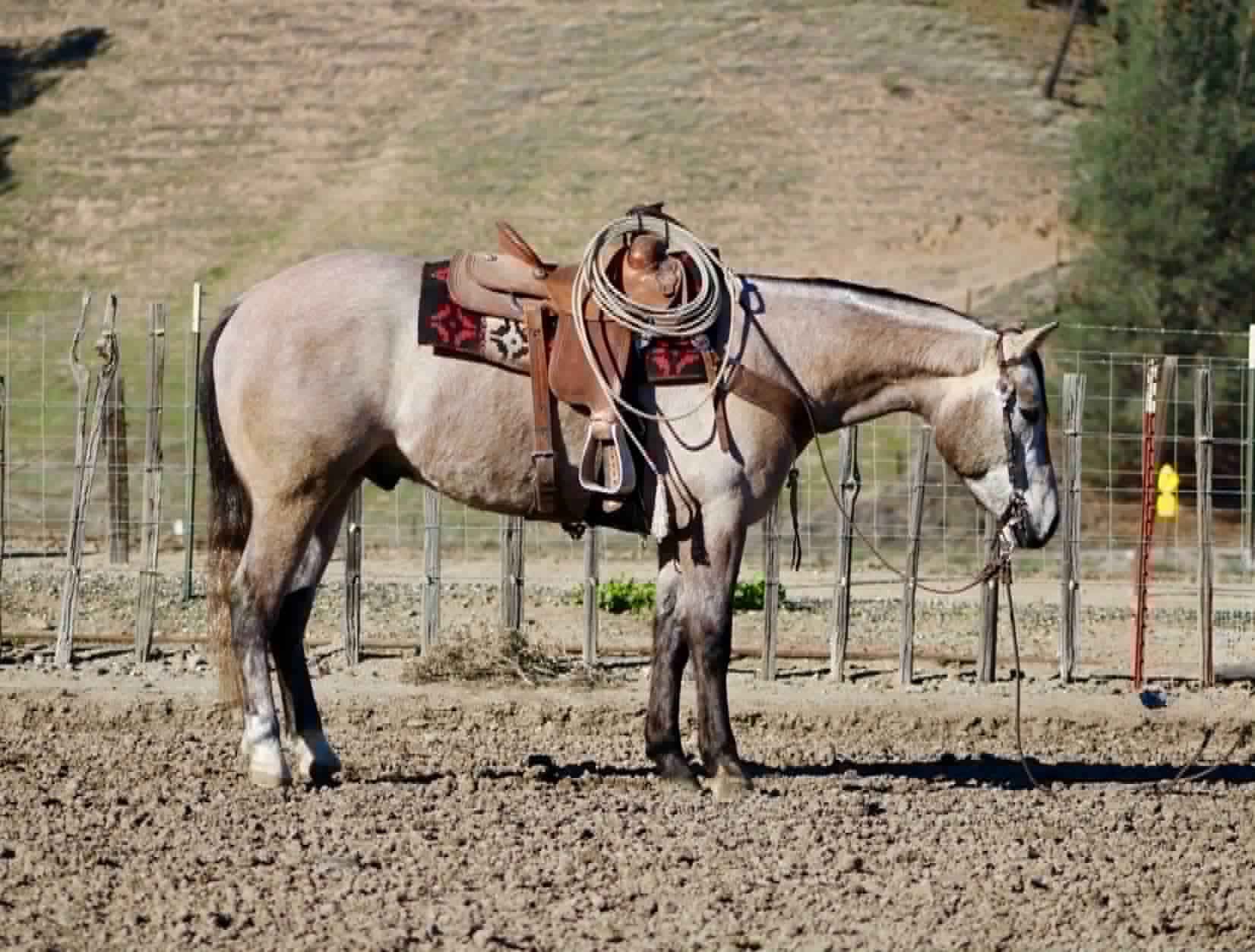 ROGERBEPLUM - Image 9