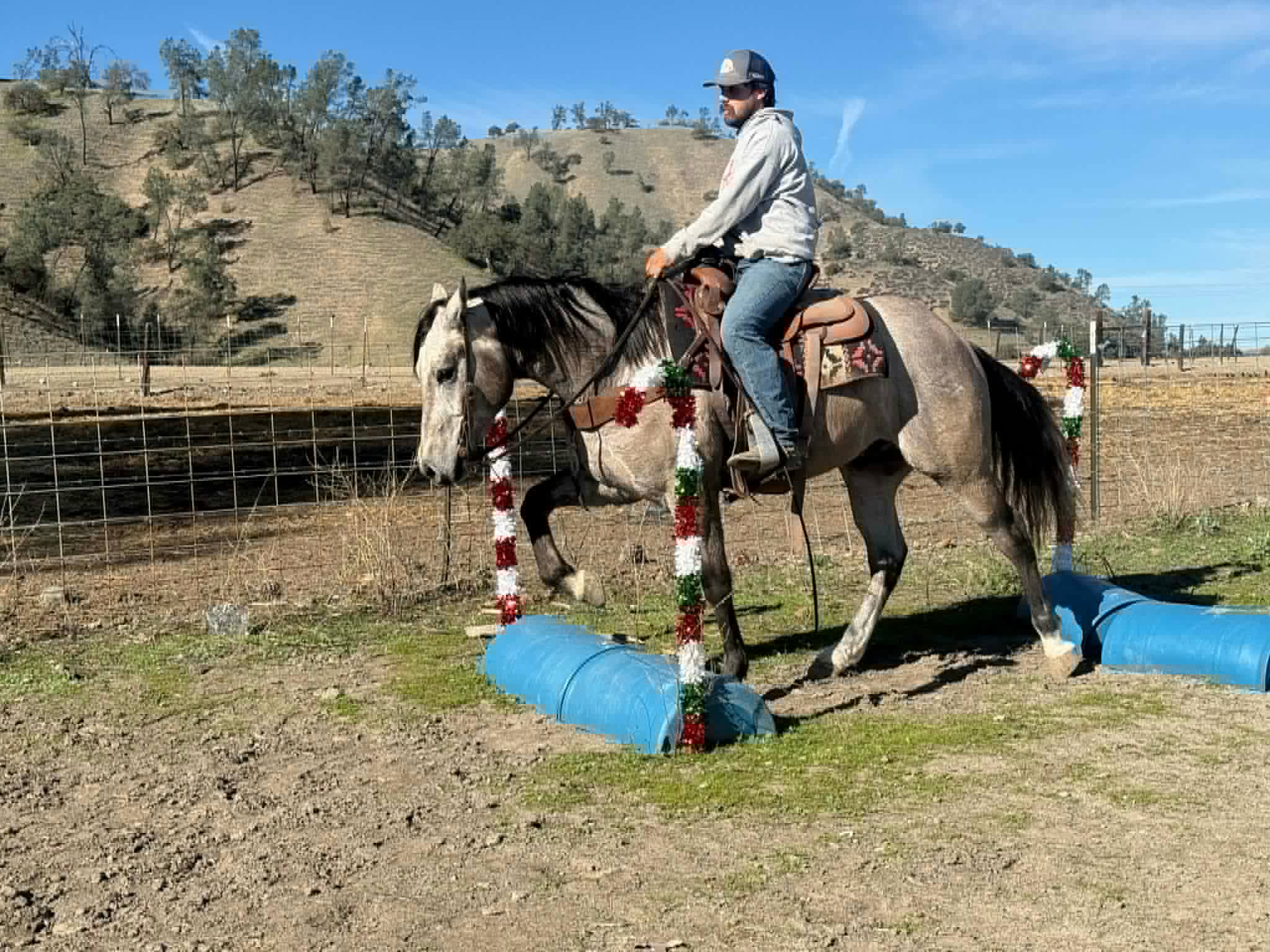 ROGERBEPLUM - Image 11