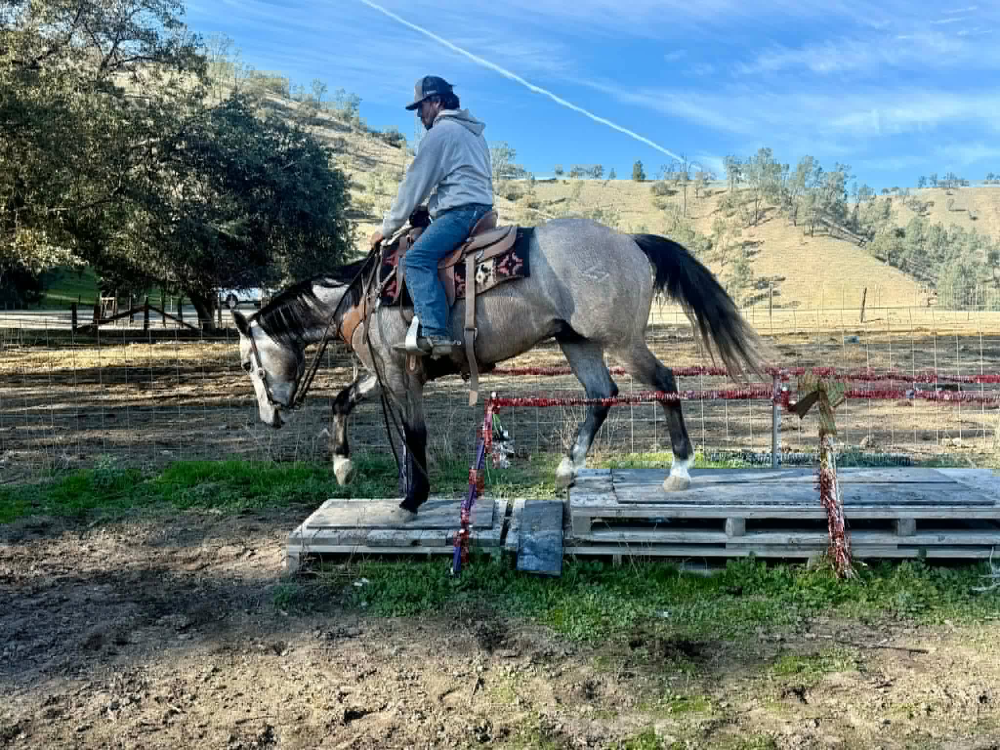 ROGERBEPLUM - Image 12