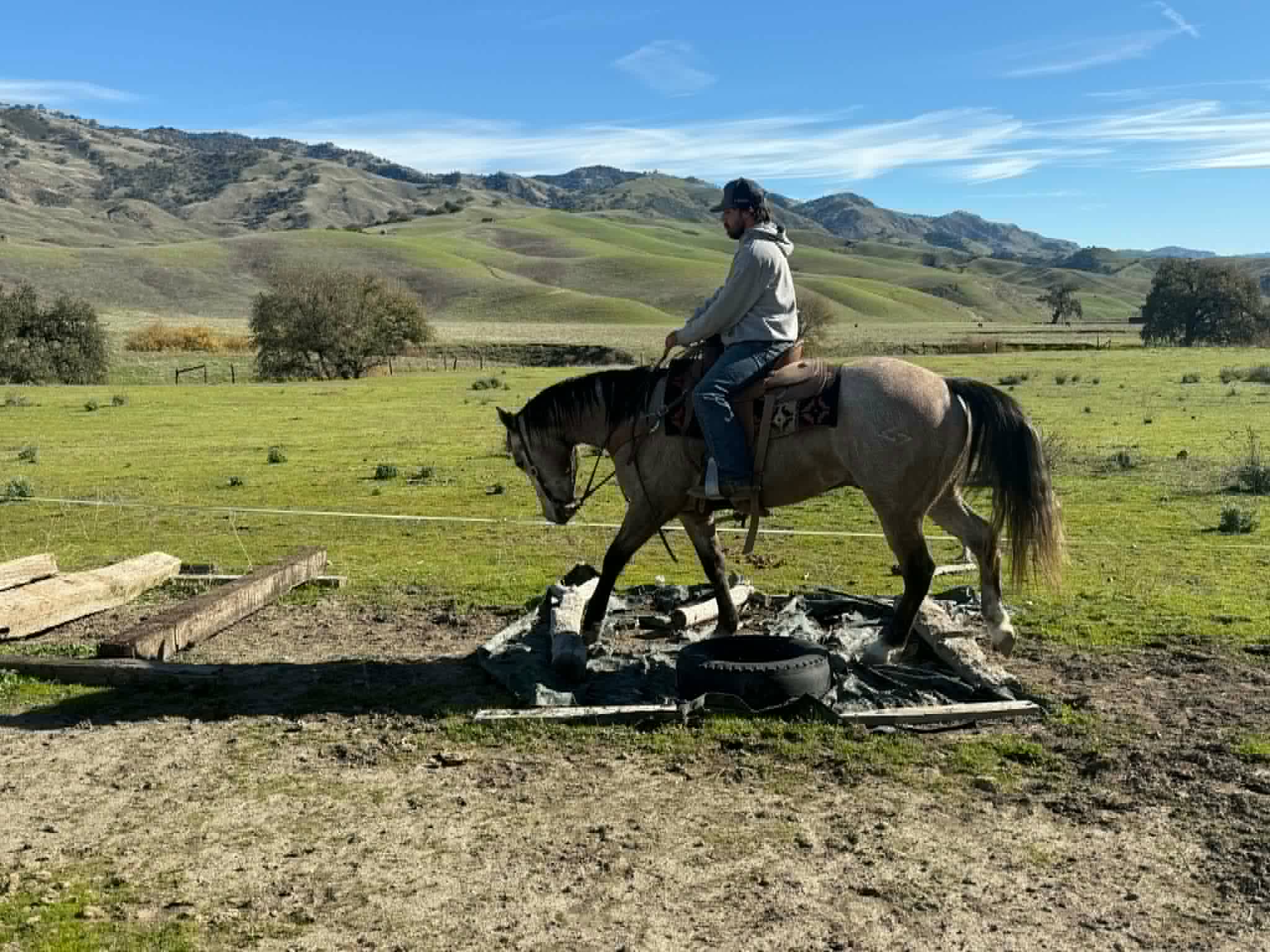 ROGERBEPLUM - Image 14