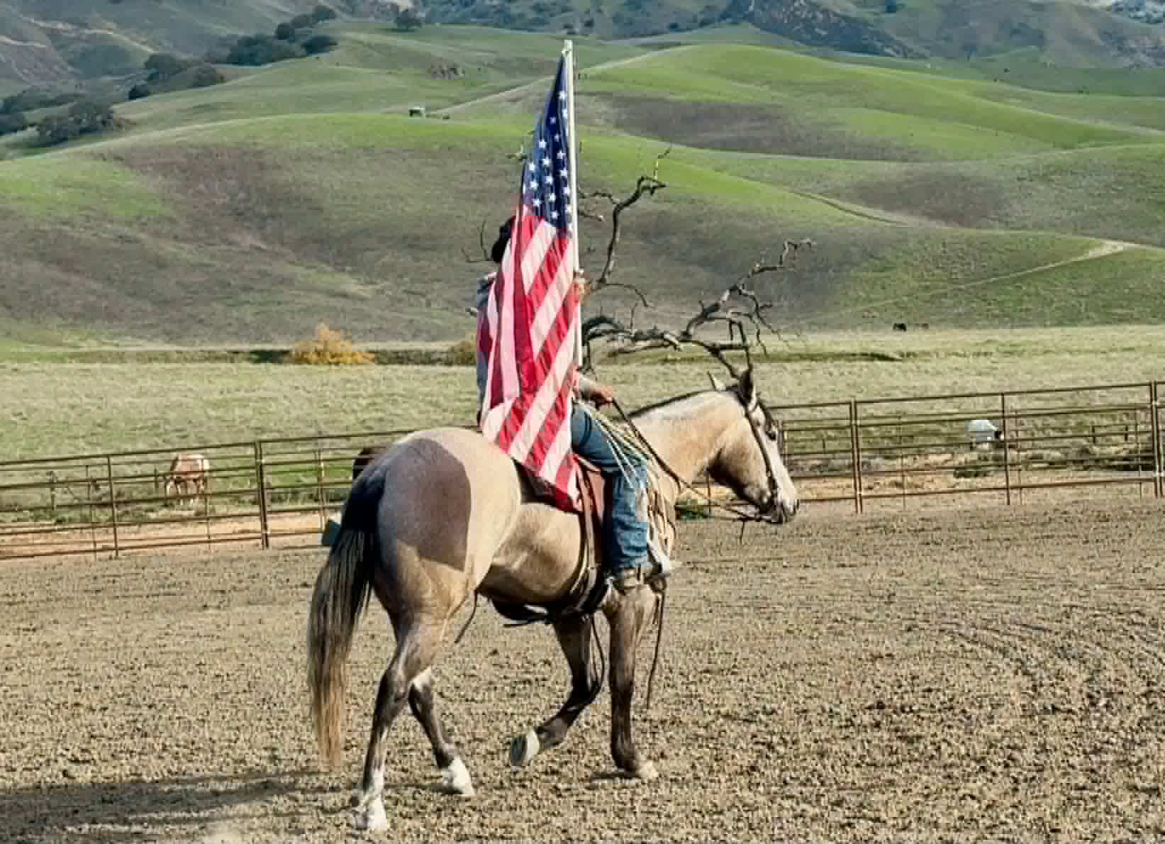 ROGERBEPLUM - Image 16