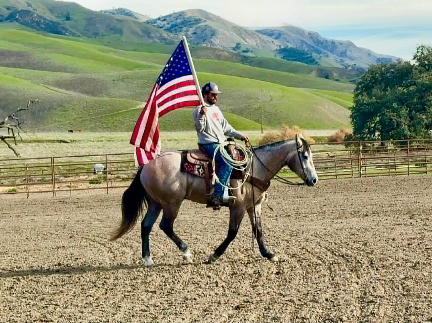 ROGERBEPLUM - Image 17