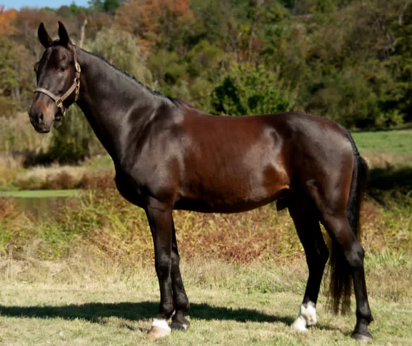 WAF Black Tie Affair - Image 3