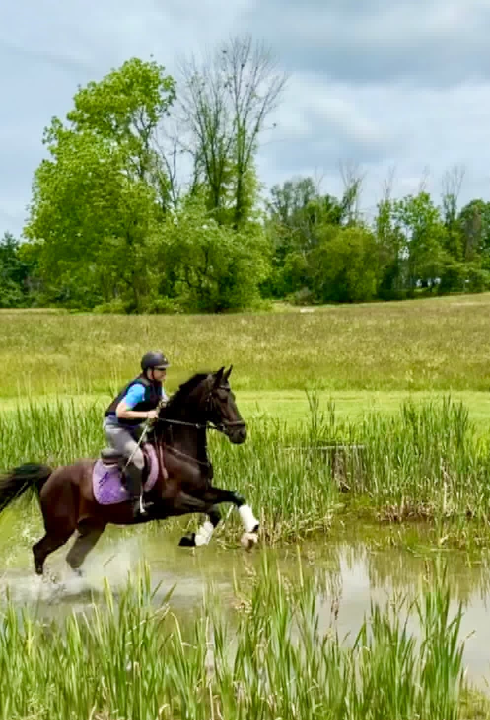 WAF Black Tie Affair - Image 4