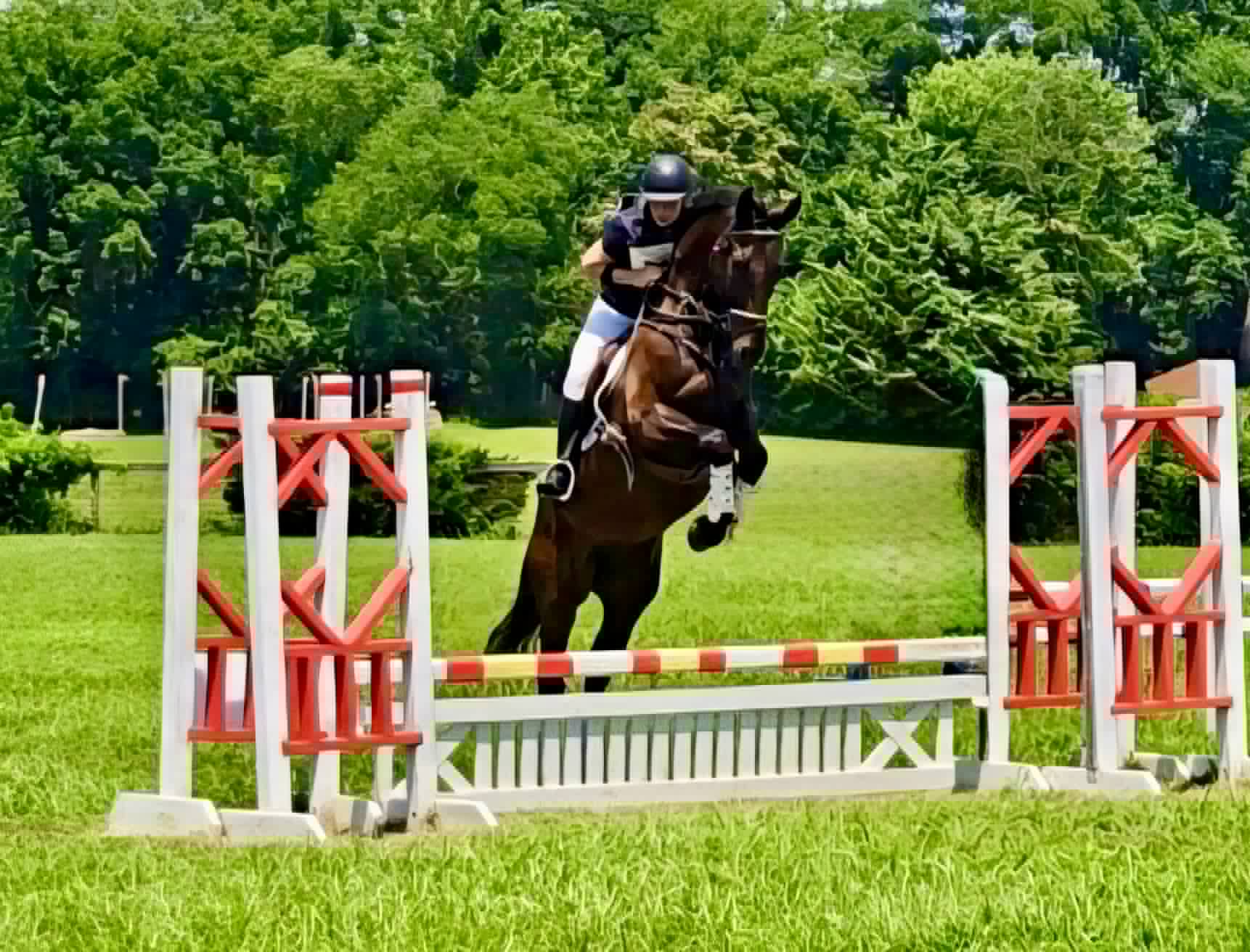 WAF Black Tie Affair - Image 5