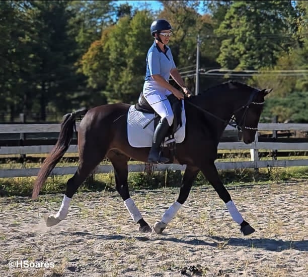 WAF Black Tie Affair - Image 6