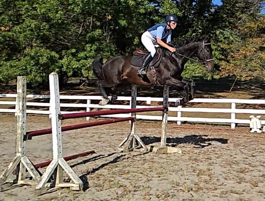 WAF Black Tie Affair - Image 8