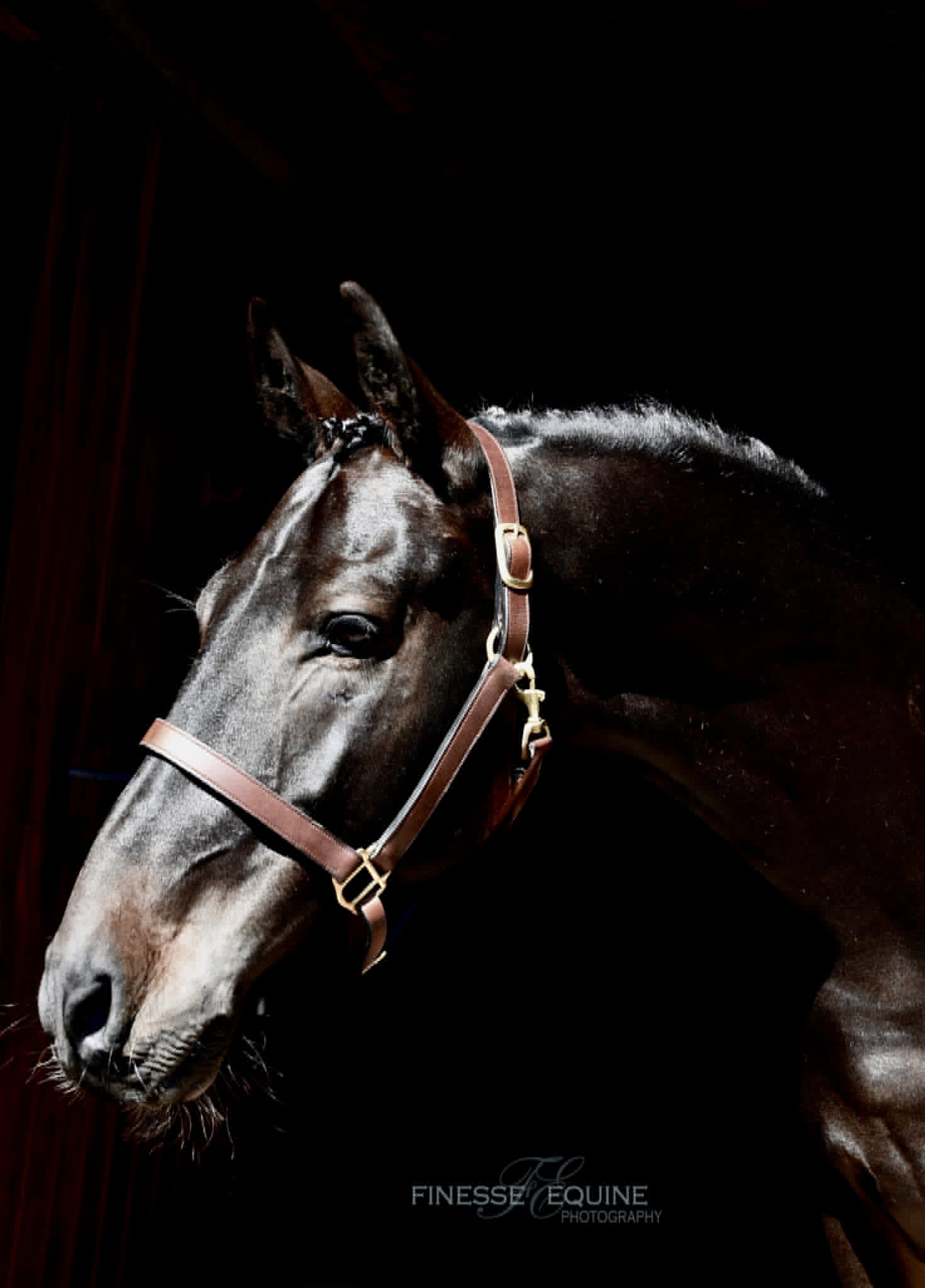 WAF Black Tie Affair - Image 10