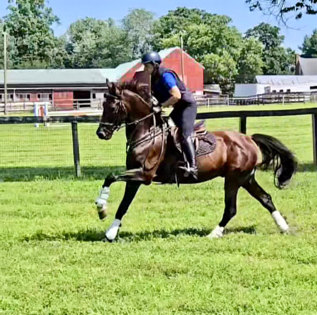 WAF Black Tie Affair - Image 11