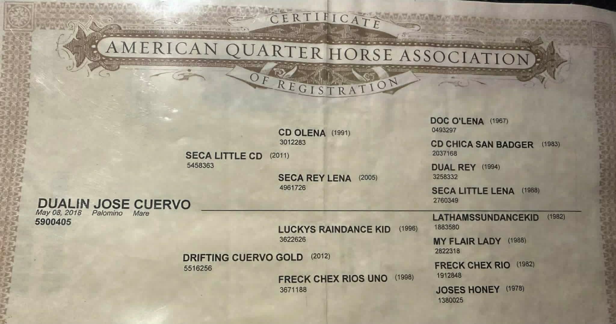 Dualin Jose Cuervo - Image 2