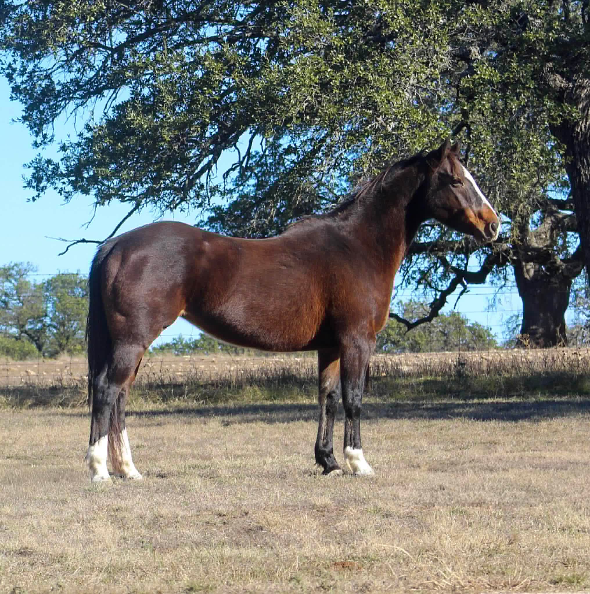 Runnin Chant - Image 3