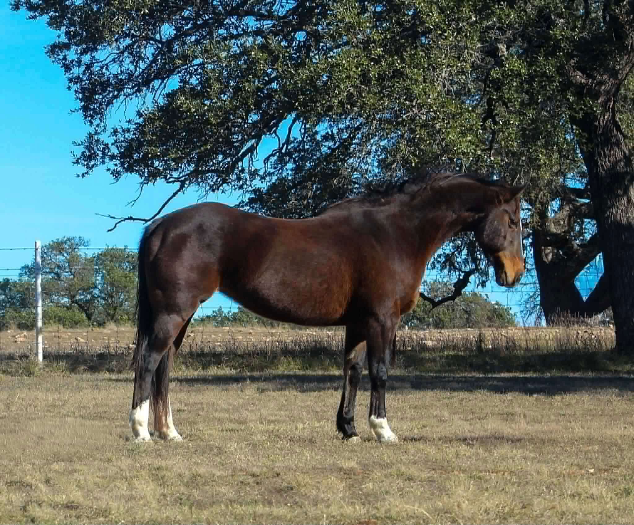 Runnin Chant - Image 4