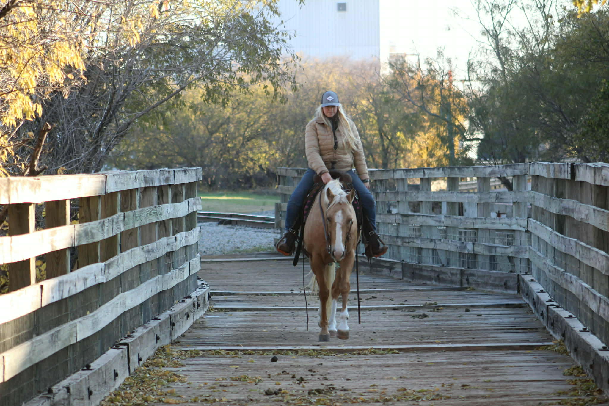 Dualin Jose Cuervo - Image 5