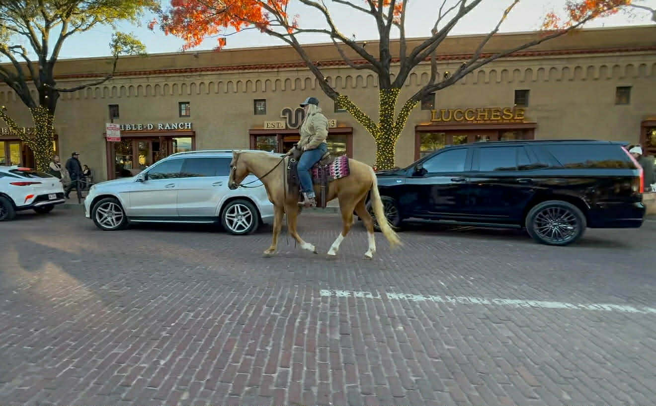 Dualin Jose Cuervo - Image 7