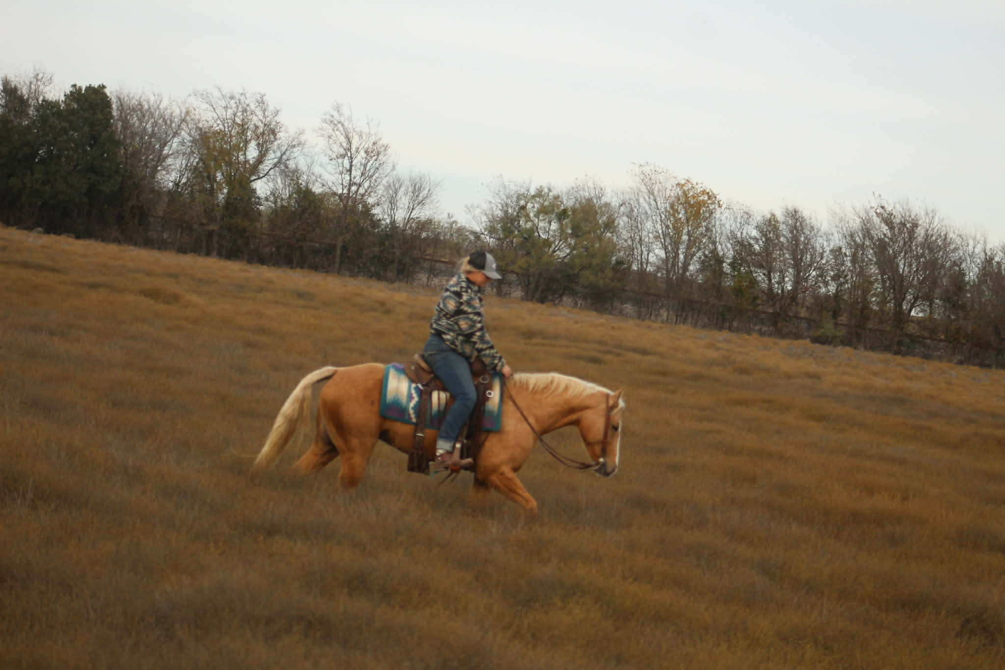 Dualin Jose Cuervo - Image 10